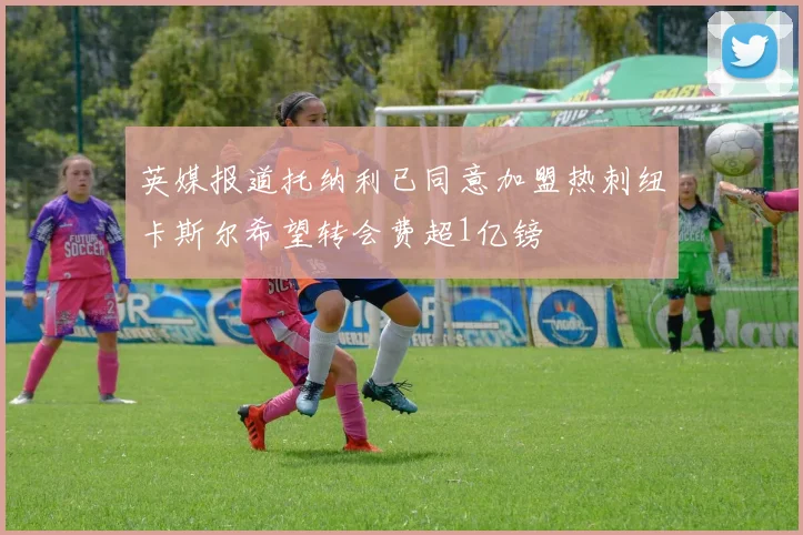 英媒报道托纳利已同意加盟热刺纽卡斯尔希望转会费超1亿镑