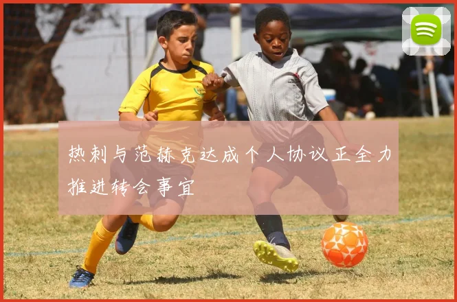 热刺与范赫克达成个人协议正全力推进转会事宜
