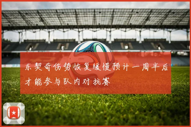 东契奇伤势恢复缓慢预计一周半后才能参与队内对抗赛