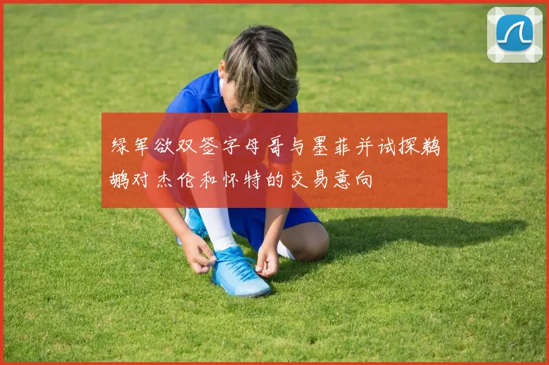 绿军欲双签字母哥与墨菲并试探鹈鹕对杰伦和怀特的交易意向